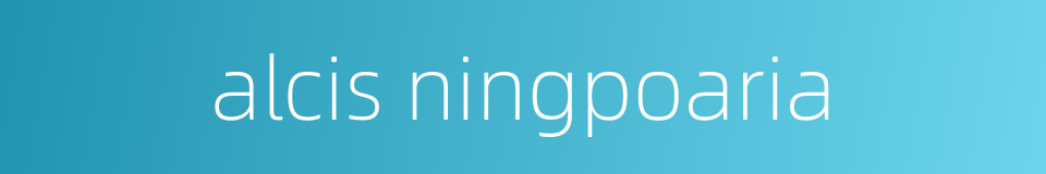alcis ningpoaria的同义词