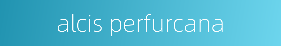 alcis perfurcana的同义词