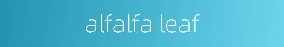 alfalfa leaf的同义词