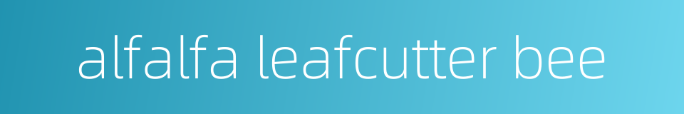 alfalfa leafcutter bee的同义词