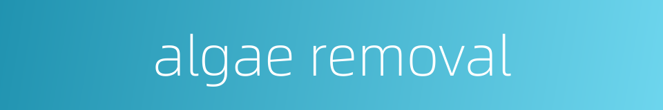 algae removal的同义词