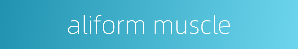 aliform muscle的同义词