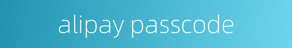 alipay passcode的同义词