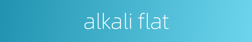 alkali flat的同义词