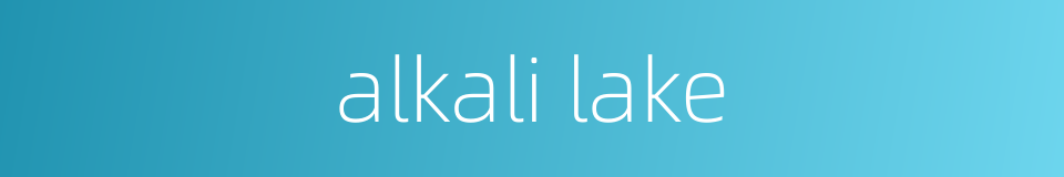 alkali lake的同义词