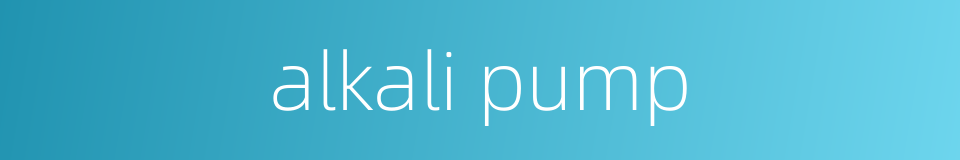 alkali pump的同义词