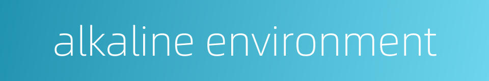 alkaline environment的同义词