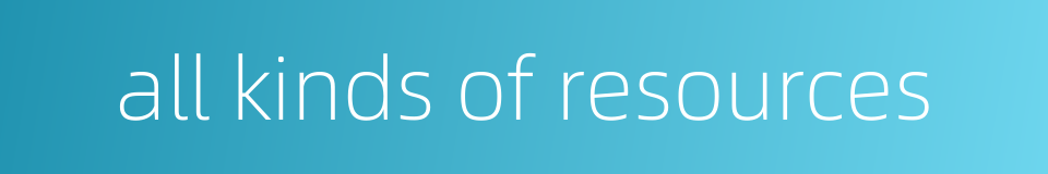 all kinds of resources的同义词