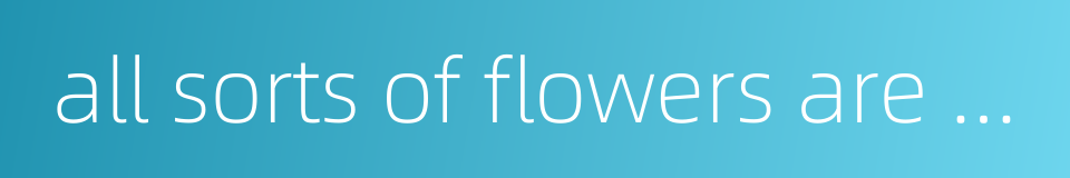 all sorts of flowers are in full bloom的同义词