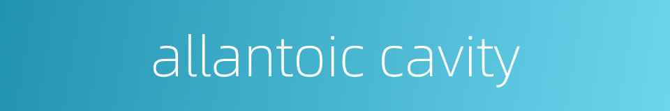allantoic cavity的同义词