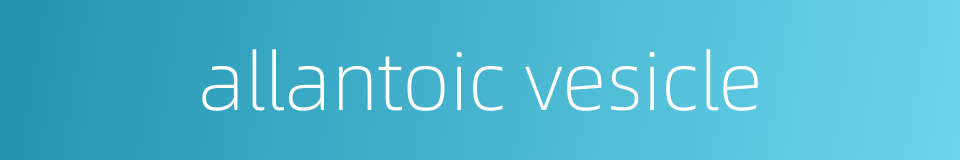 allantoic vesicle的同义词