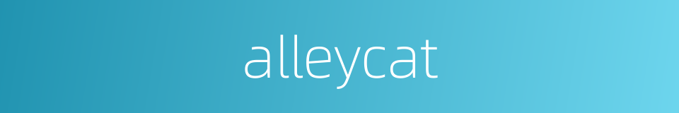 alleycat的同义词