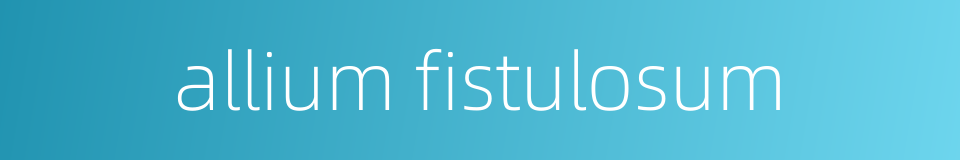 allium fistulosum的同义词