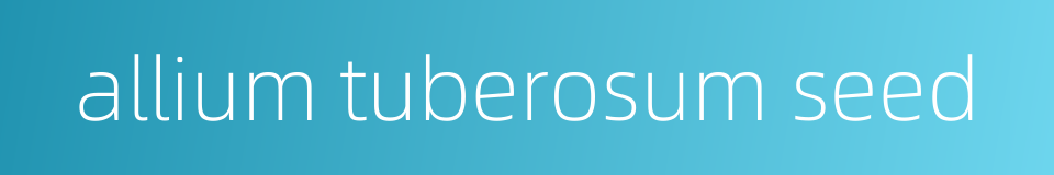 allium tuberosum seed的同义词