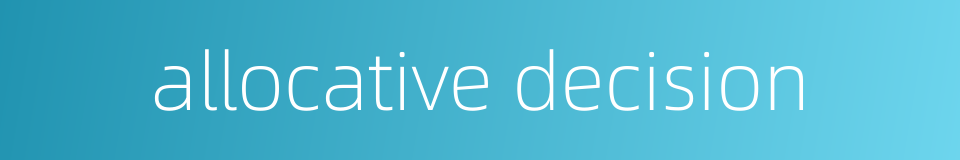 allocative decision的同义词