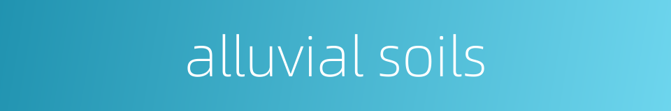 alluvial soils的同义词