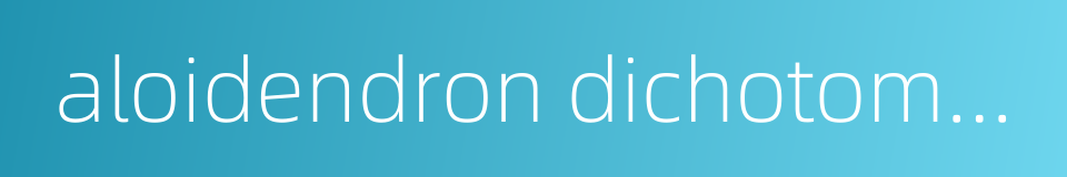 aloidendron dichotomum的同义词