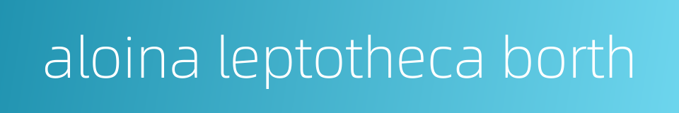 aloina leptotheca borth的同义词