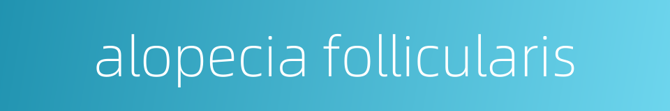 alopecia follicularis的同义词