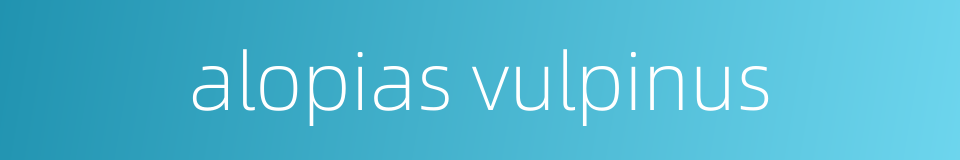 alopias vulpinus的同义词