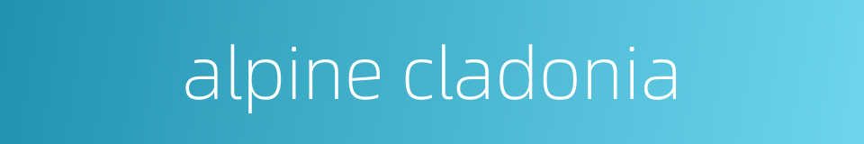 alpine cladonia的同义词
