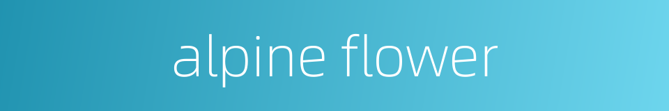 alpine flower的同义词