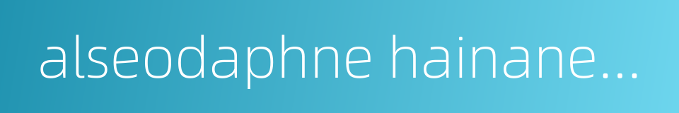alseodaphne hainanensis的同义词