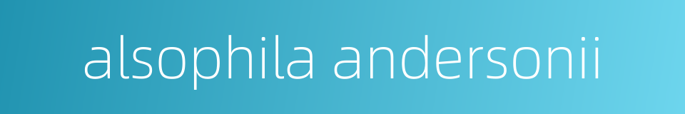 alsophila andersonii的同义词