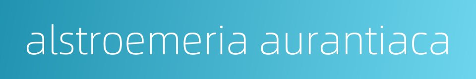 alstroemeria aurantiaca的同义词