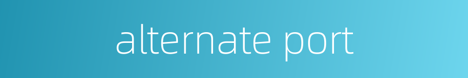 alternate port的同义词