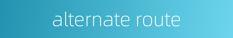 alternate route的同义词