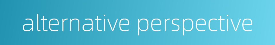 alternative perspective的同义词