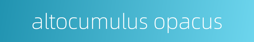 altocumulus opacus的同义词