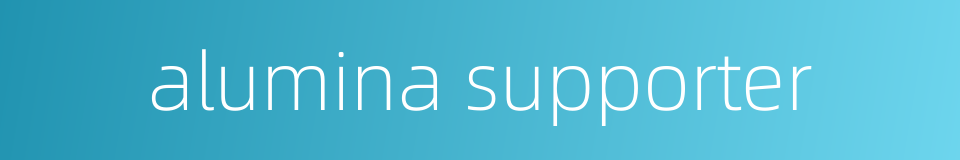 alumina supporter的同义词