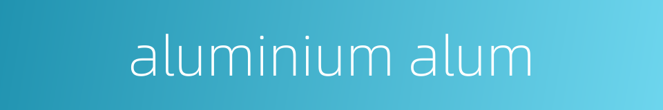 aluminium alum的同义词