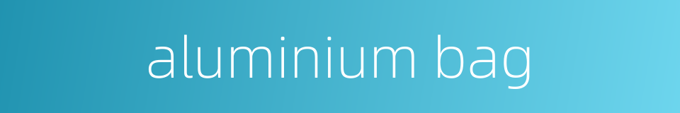 aluminium bag的同义词