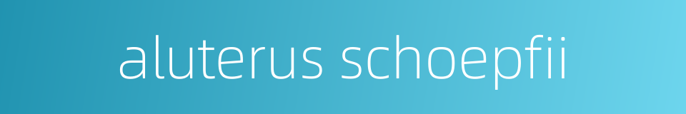 aluterus schoepfii的同义词