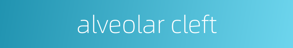 alveolar cleft的同义词