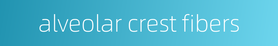 alveolar crest fibers的同义词
