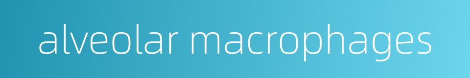 alveolar macrophages的同义词