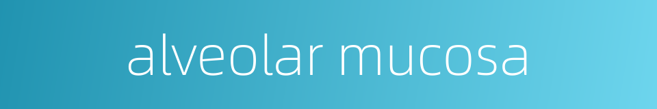 alveolar mucosa的同义词