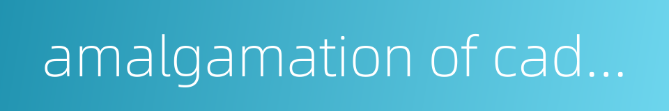 amalgamation of cadastral parcel的同义词