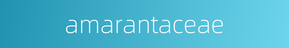 amarantaceae的同义词