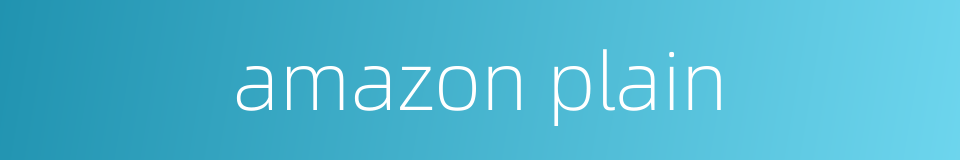 amazon plain的同义词
