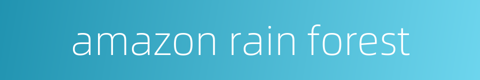 amazon rain forest的同义词