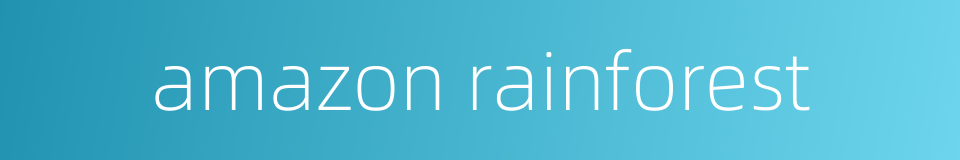 amazon rainforest的同义词