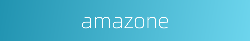 amazone的同义词