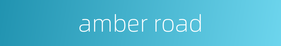 amber road的同义词