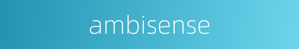 ambisense的同义词