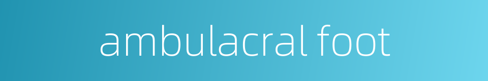 ambulacral foot的同义词